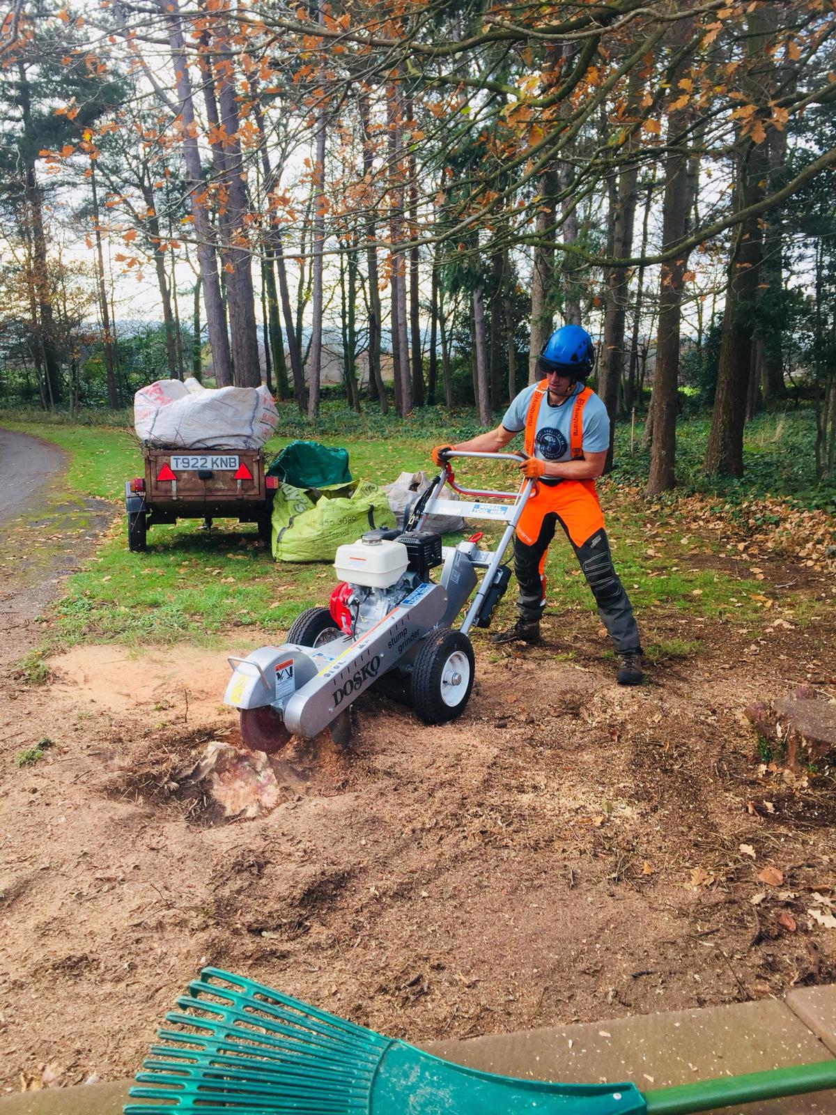 Picture of stump grinding