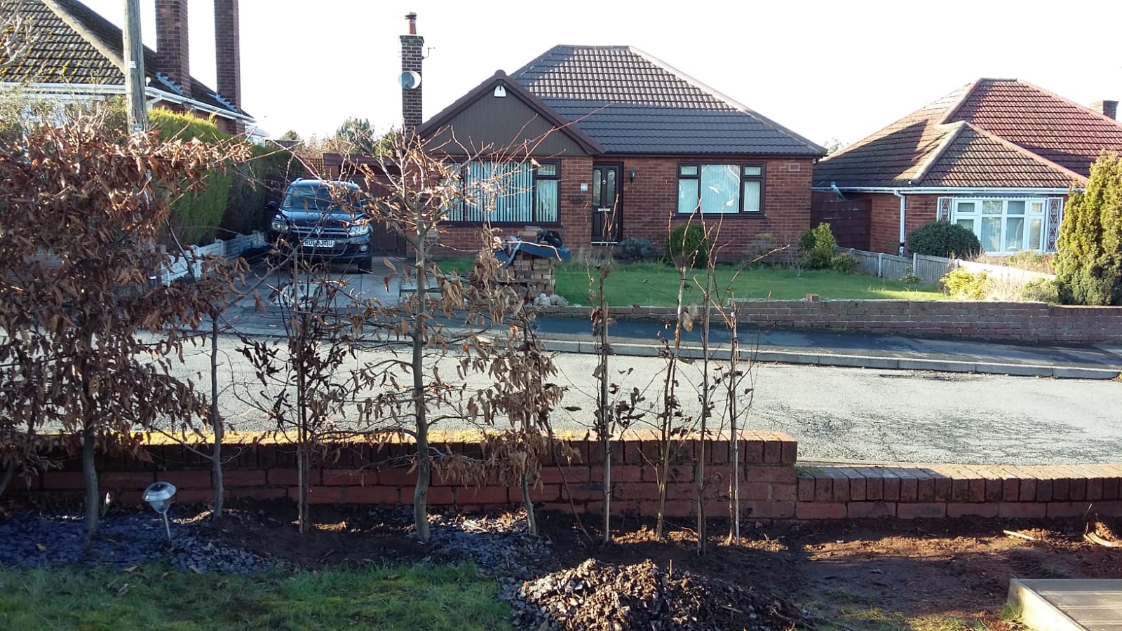 Picture of tree and hedge planting